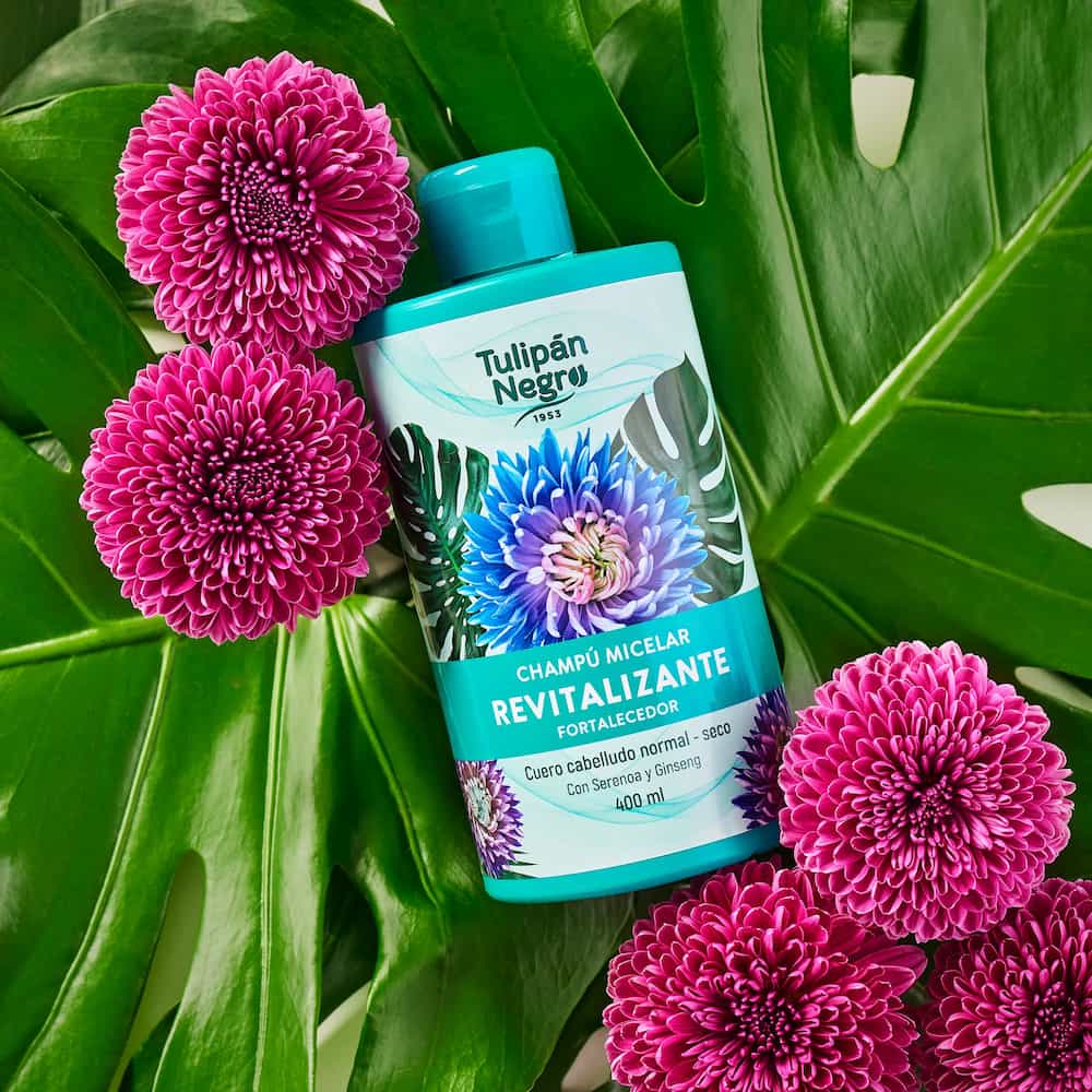 Shampooing micellaire revitalisant et fortifiant Black Tulip