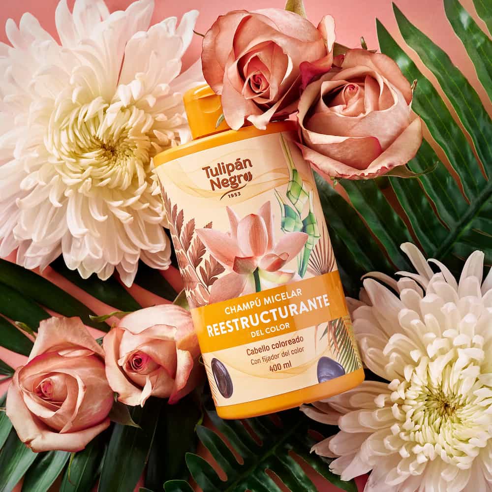 Shampooing Micellaire Restructurant Couleur Tulipe Noire